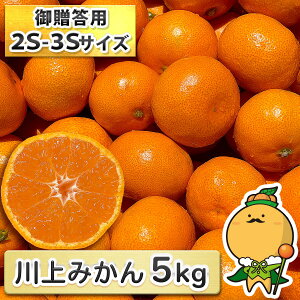 yVct܂̖YnEnzp ݂  2S 3S Iy/ꕔn揜zm QY  蕨 v[g  B   승20 n