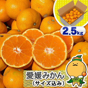 _ԌP10{^y2őI31ʁIz󂠂 Q ݂ 召TCY 2.5kgy/ꕔn揜zm QY ƒp p ݂  B   승20 n