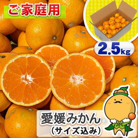 ＼今だけ特別価格／【2箱で送料無料！3箱で1箱増量！】 愛媛 みかん 大小サイズ込み ご家庭用 2.5kg【送料無料/一部地域除く】［ 愛媛県産 家庭用 自宅用 みかん 箱買い 温州 蜜柑 早生 南柑20号 ］