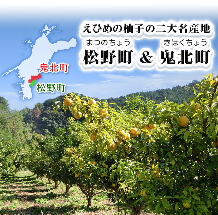 楽天市場 愛媛 県産 柚子 ゆず 3kg 訳あり 家庭用 サイズ おまかせ 混合 送料無料 箱買い 自宅用 業務用 果汁 皮 薬味 薬膳 胡椒 七味 冬至 ゆず湯 鬼北町 松野町 3キロ 愛媛みかんの こだわり王国