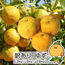 愛媛県産 柚子 ゆず ［ 本柚子 家庭用 訳あり サイズ おまかせ 混合 送料無料 自宅用 業務用 ］