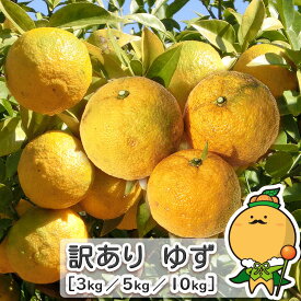 愛媛県産 柚子 ゆず ［ 本柚子 家庭用 訳あり サイズ おまかせ 混合 送料無料 自宅用 業務用 ］