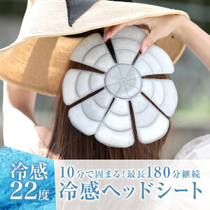 ⊴wbhV[g ⊴ Ђ ₽ V[g Xq̒ɓĎg 22x  JԂg y [dsv RۉH AEghA W[