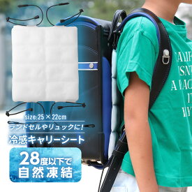 冷感キャリーシート 涼しい リュック ランドセル 繰り返し使える 軽量 充電不要 抗菌加工 アウトドア レジャー 通学 通勤