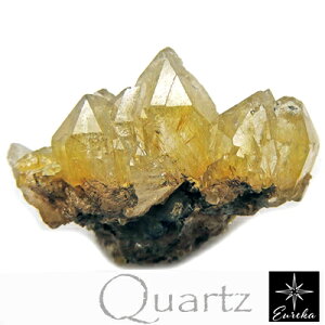 `NH[c M  uWY p[Xg[   VR 4 a 