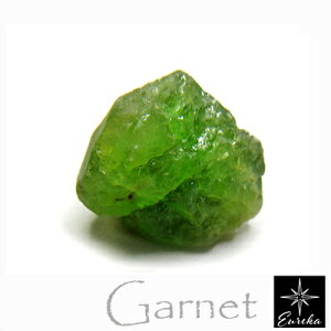 yyiz }K[lbg  12ctbME1a΁EVR΁Ep[Xg[E