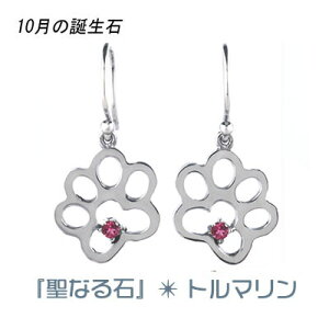   sAX CO sNg} 10 a   VR fB[X Vo[ Mtg NX}X a zCgf[ ̓ ޏɃv[g