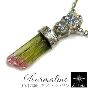 yiE_z g} lbNX  oCJ[g} VR p[Xg[ y_g 10 a XtXL[ f[X Vo[ Mtg NX}X a z