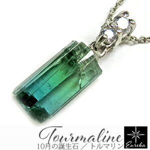 yizg} oCJ[g}  lbNX VR p[Xg[ y_g 10 a fB[X Vo[ Mtg NX}X a zCgf[ ̓ ޏ