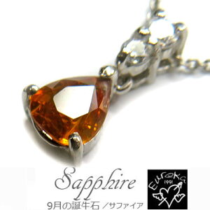 �T�t�@�C�A �l�b�N���X �V�R�� �y���_���g 9�� �a���� ���f�B�[�X �V���o�[ �M�t�g �N���X�}�X �a���� �z���C�g�f�[ ��̓� �ޏ��Ƀv���[���g ��������