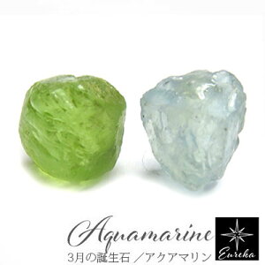 yiz ANA} yhbg  sAX AM[Ή 8 a VR p[Xg[ fB[X Vo[ Mtg NX}X a zCgf[ ̓ ޏɃv[