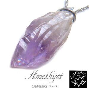 yiz AWXg  lbNX VR p[Xg[ y_g 2 a fB[X Vo[ Mtg NX}X a zCgf[ ̓ ޏɃv[g 