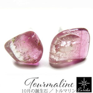 yiE_z g} oCJ[g}  sAX VR p[Xg[ 10 a fB[X AM[Ή Mtg NX}X a zCgf[ ̓ ޏ