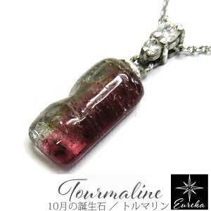 yiE_z g} lbNX  oCJ[g} VR p[Xg[ y_g 10 a XtXL[ f[X Vo[ Mtg NX}X a z