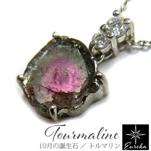 yiE_z g} lbNX  EH[^[g} VR p[Xg[ y_g 10 a XtXL[ f[X Vo[ Mtg NX}X a