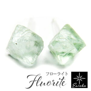 t[Cg sAX  AM[Ή VR fB[X Mtg v[g 