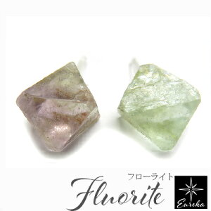 t[Cg sAX  AM[Ή VR fB[X Mtg v[g 