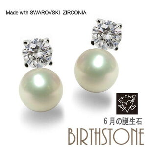 Wp[ XtXL[ `[ sAX ! 6̒a VR fB[X Vo[ ޏɃv[g IWinhChWG[łII