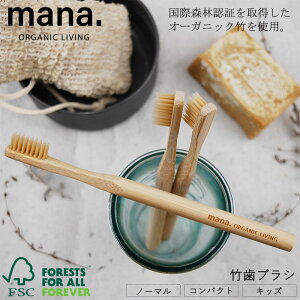 wmana. }i |uV FSCF yĖ₷xy| uV  y I[KjbN TXeCiu ؐ piz