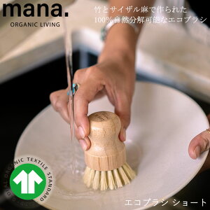 wmana. }i GRuV V[gxyuV |uV _炩 H tCp oX[ mz