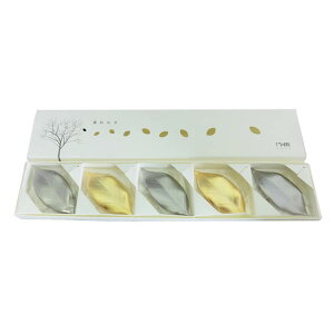 wt}  (Vo[3ES[h2) 5Zbgxy͂ u MtgZbg Vo[ S[h tρzy[֑Ήz