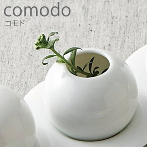 wc comodo Rh 悤 xy{ ܗk} ܂悤 G݁zyN[|Ώۏiz