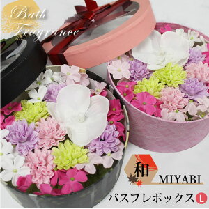 母の日 花 入浴剤の人気商品 通販 価格比較 価格 Com