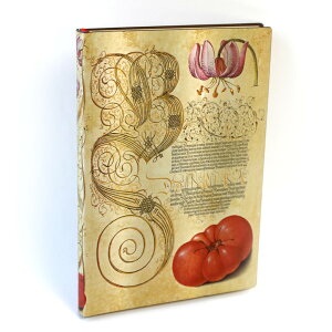 ~E{^jJ Flexis Sg}g paperblanks ~fBTCY \tgJo[  m[g L VsubN 玙L ƌv [  GL rWlX ׋ GfBOm[g ̓ 
