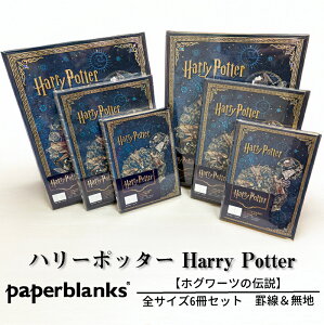 y~j/~fB/Eg S3TCY rEn 6ZbgzPaperblanks y[p[uNX Harry Potter n[|b^[ zO[c̓` m[g