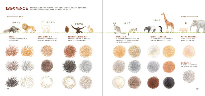 楽天市場 色えんぴつでかわいい動物 色鉛筆 書き方 イラスト テキスト 簡単 かわいい 練習 秋草 愛 Euro Style Enjo正規取扱店