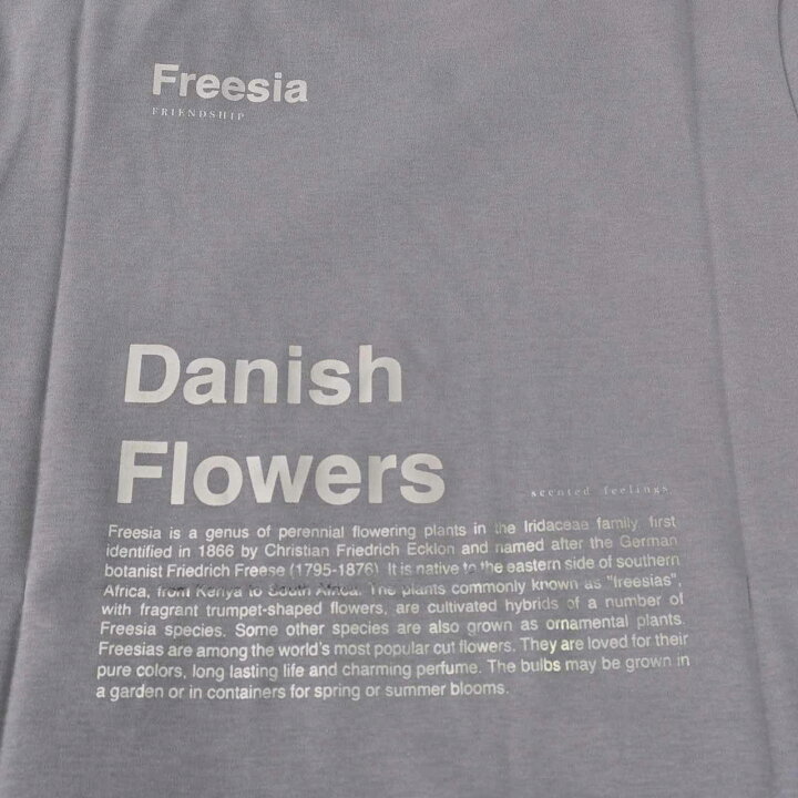 楽天市場】【10％OFFクーポン対象】エス マックスマーラ S MAX MARA T  