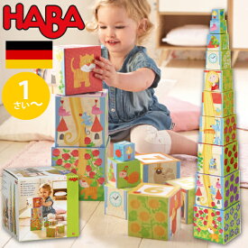 HABA ハバ スタッキングキューブ ラプンチェル ドイツ 1歳 ブラザージョルダン 数字 動物 ベビートイ ブロック 知育玩具 男の子、女の子の出産祝いやハーフバースデー、1歳・2歳の誕生日やクリスマスプレゼントにおすすめ。(HA302030)