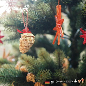 Kimmerle L}[ NX}X Xg[I[ig ڂ 5cm(257-4)