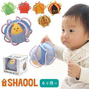 SHAOOL VI[ {[ ~j CR zKK oYjAn[to[XfCAj̎qE̎q̒aANX}Xv[gɂ߂́ARȔzAWVтy