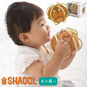 SHAOOL VI[ {[ ~j ܂肷 zKK oYjAn[to[XfCAj̎qE̎q̒aANX}Xv[gɂ߂́ARȔzAWVтy