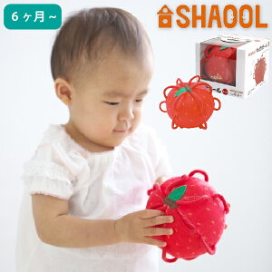 SHAOOL VI[ {[ ~j  zKK oYjAn[to[XfCAj̎qE̎q̒aANX}Xv[gɂ߂́ARȔzAWVтy