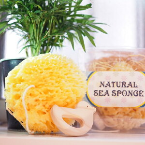 C^A i`V[X|W oXZbg qmL̃g Ђ悱 CȃX|W j̎qA̎q̏oYjn[to[Xf[ɂ߂́AC^A100%VRfނ̊CȃX|W