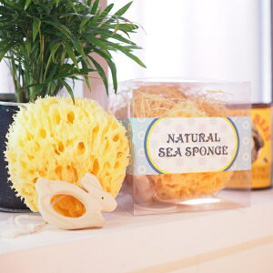 C^A i`V[X|W oXZbg qmL̃g  CȃX|W j̎qA̎q̏oYjn[to[Xf[ɂ߂́AC^A100%VRfނ̊CȃX|W