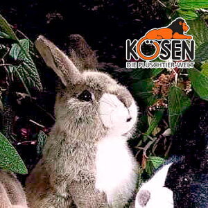 KOESEN P[Z ETM  x[W 3590`hCcEKOESEN/KOSENiP[ZЁj̓̂ʂ݁B炵\̓ei/ETMĵʂ݂łBoYj NX}X v[g 