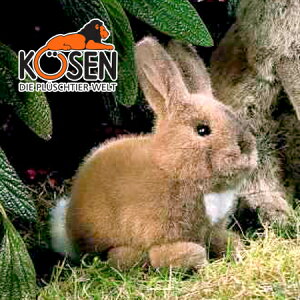 KOESEN P[Z ̎q 3581`hCcEKOESEN/KOSENiP[ZЁj̓̂ʂ݁B炵\̓ei/ETMĵʂ݂łBoYj NX}X v[g LO
