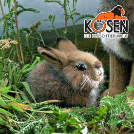 KOESEN ケーセン社 野うさぎの子 5090〜ドイツ・KOESEN/KOSEN（ケーセン社）の動物のぬいぐるみ。愛らしい表情の兎（うさぎ/ウサギ）のぬいぐるみです。出産祝い クリスマス プレゼント 結婚記念日 出産したママへのご褒美にもおすすめ