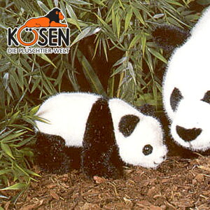 KOESEN P[Z p_ () 3200`hCcEKOESEN/KOSENiP[ZЁj̓̂ʂ݁B炵\̃p_̂ʂ݂łBoYj NX}X v[g LO oY