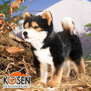 KOESEN P[Z Č  5751`hCcEKOESEN/KOSENiP[ZЁj̓̂ʂ݁B炵\̌iCk/ʁĵʂ݂łBoYj NX}X v[g LO oY