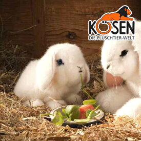 KOESEN ケーセン社 たれ耳うさぎの子 白 6160〜ドイツ・KOESEN/KOSEN（ケーセン社）の動物のぬいぐるみ。愛らしい表情の兎（うさぎ/ウサギ）のぬいぐるみです。出産祝い クリスマス プレゼント 結婚記念日 出産したママへのご褒美にもおすすめ(KSN-M33-8)