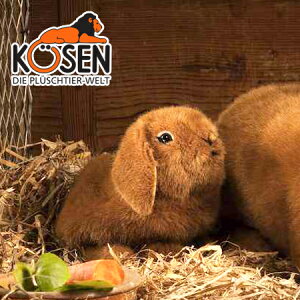 KOESEN P[Z ꎨ̎q  6162`hCcEKOESEN/KOSENiP[ZЁj̓̂ʂ݁B炵\̓ei/ETMĵʂ݂łBoYj NX}X v[g 