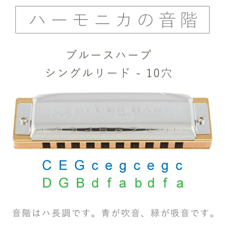 楽天市場 Hohner ホーナー社 ハーモニカ ブルースハープ 世界的に有名なドイツの楽器メーカーhohner ホーナー社 の代表的なハーモニカ ブルースハープ です 木のおもちゃ ユーロバス