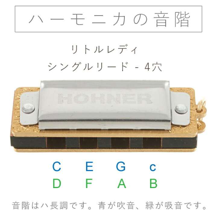 楽天市場】［メール便可］HOHNER ホーナー社 ハーモニカ リトルレディ 