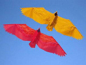 Didakites SKY KITE XJCJCg T}[o[h`xM[Ă[bp̑()wXJCJCgxłB{̒ł悤Ɍ܂B(DK16471)