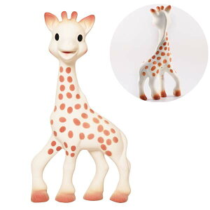 Vulli  L̃\tB[`Ԃ̏߂Ă̂FBɃIXXȃtXĂl`w̃\tB[xBL̃\tB[͐Ԃ̌܊h܂(616324)