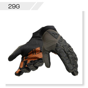 yzHGR GLOVES EXT@S̏Cۏؕt DAINESEi_Cl[[j